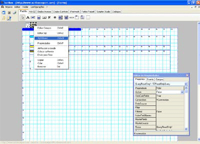 Scribes Report Tool software